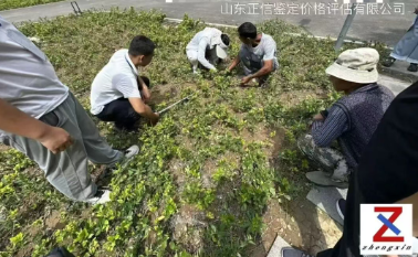 微信图片_20260819095158_215_9.png
