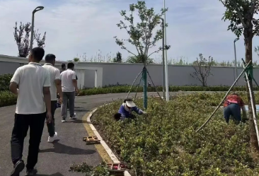 微信图片_20260819095158_217_9.png