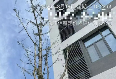 微信图片_20260819095158_216_9.png